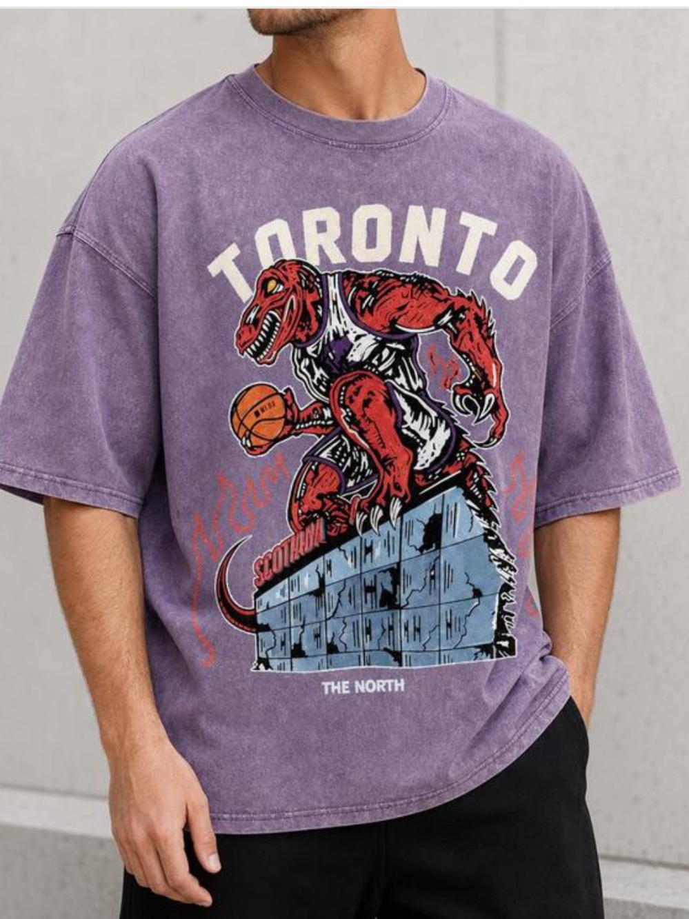 New Ash-Vintage Washed Oversized-Toronto Raptors Dino-Basketball Tee - Retro-